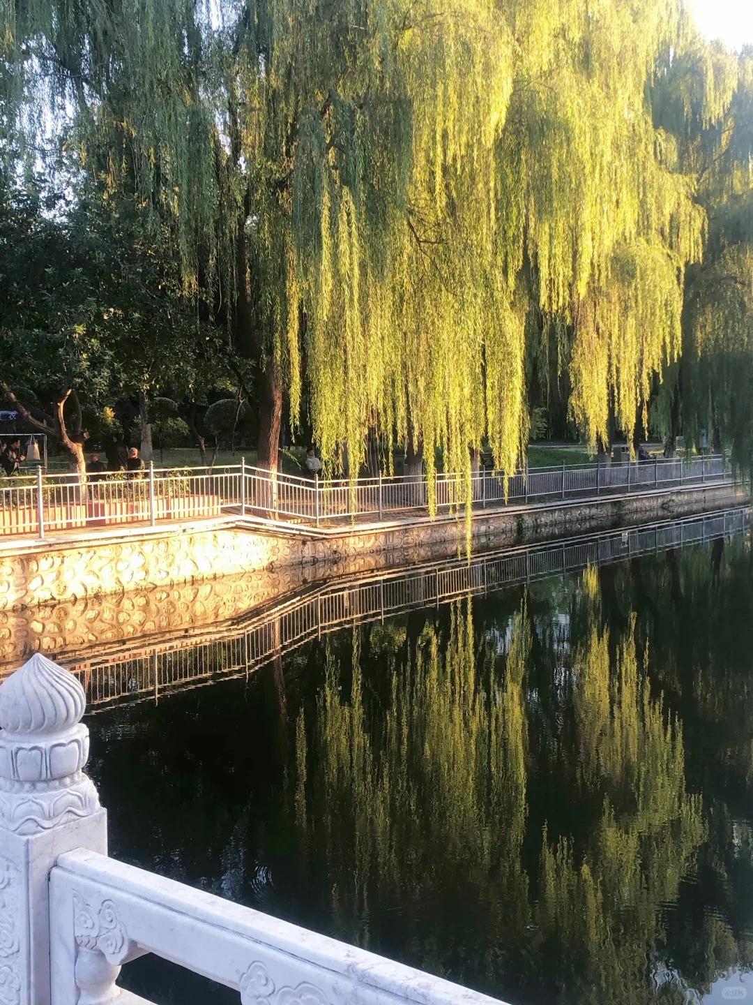 美女逛公园，宛如泡在阳光里