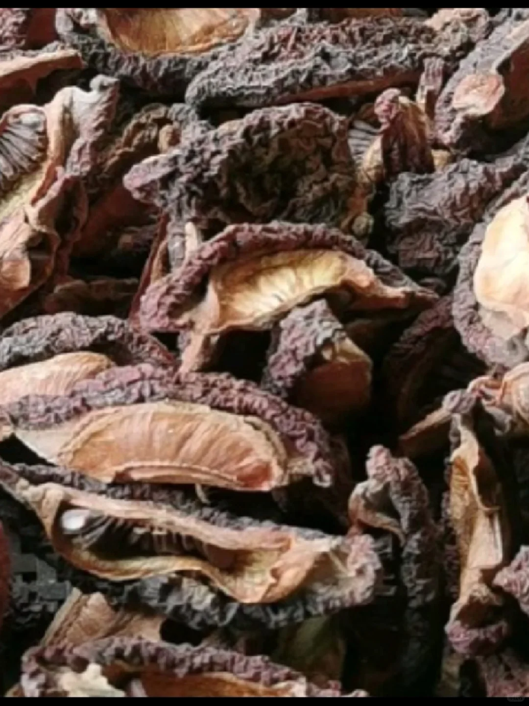 每天认识一种中草药：酸木瓜