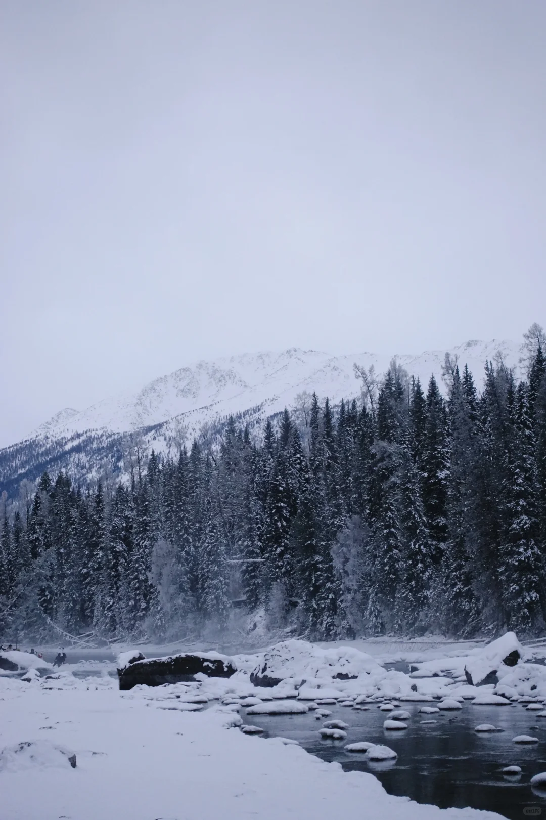 居然拍成这样!?后悔来新疆了