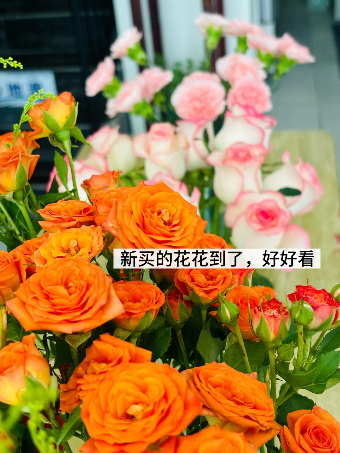 高敏感女生最好的状态:销声匿迹