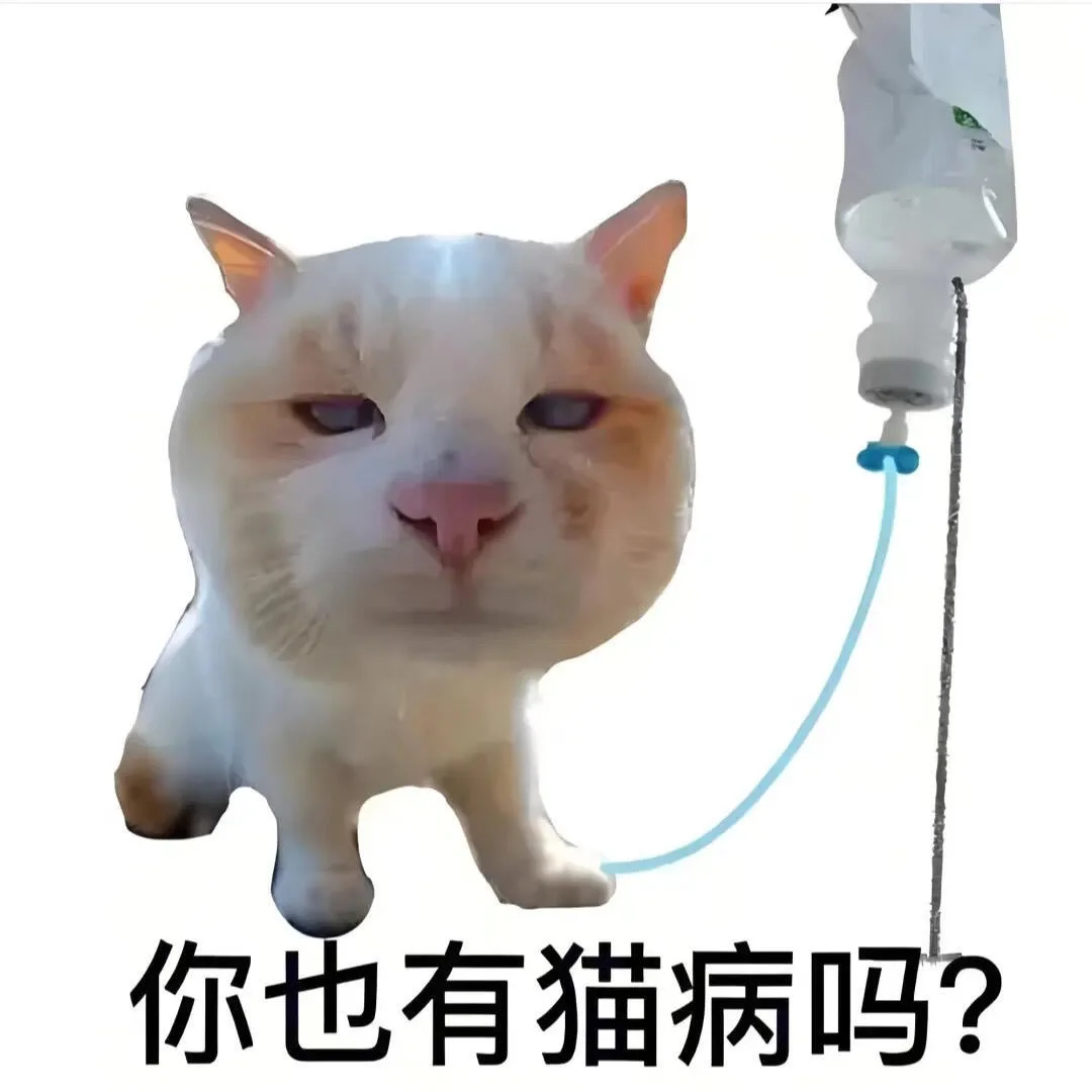 你老公的聊天表情包、亲嘴亲嘴