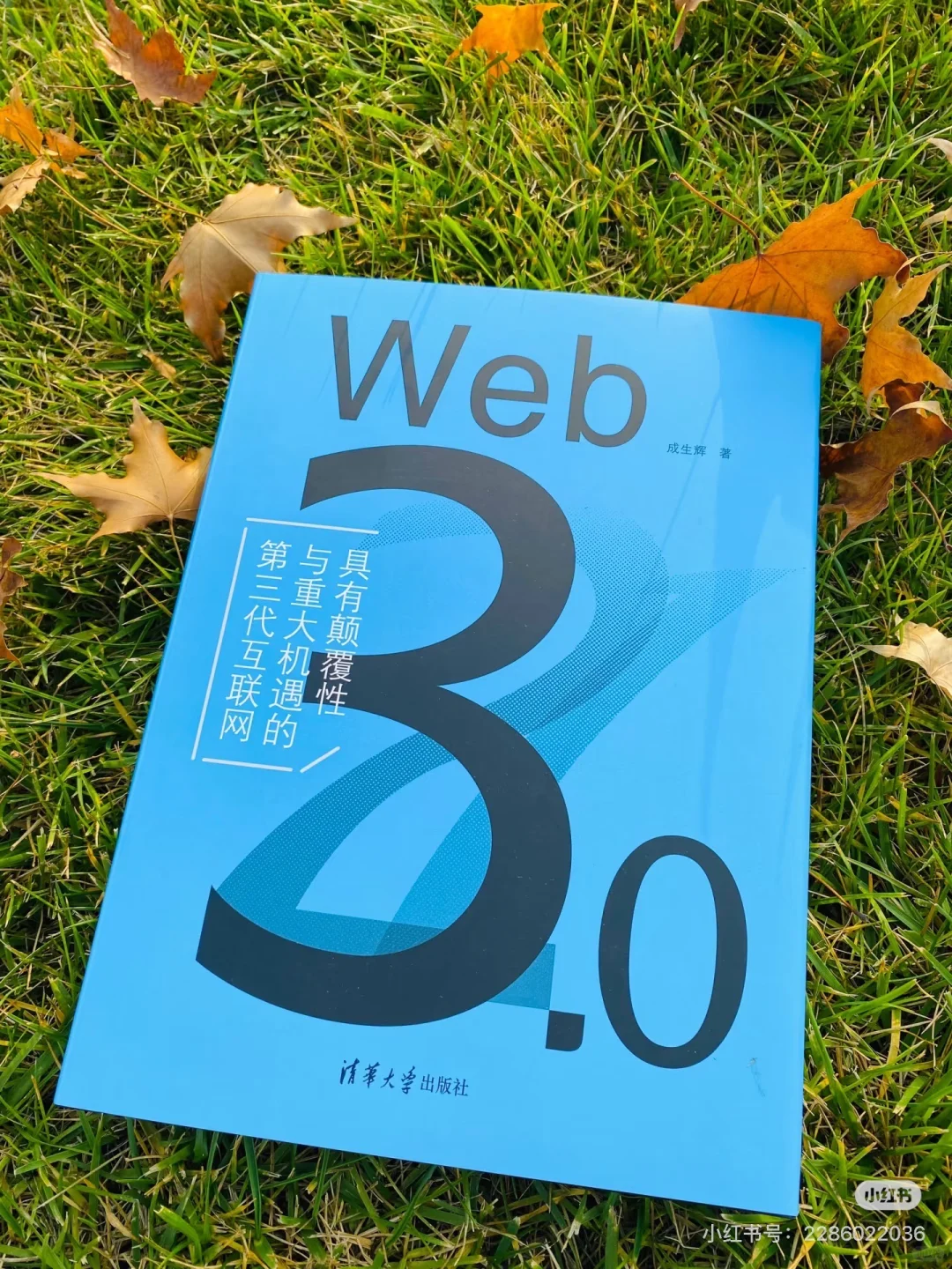Web3远程工作内推 | 招聘中文KOL，需全球飞