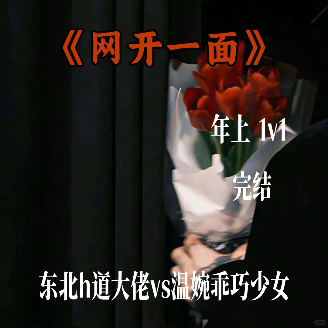 超好看❗❗❗《网开一面》
