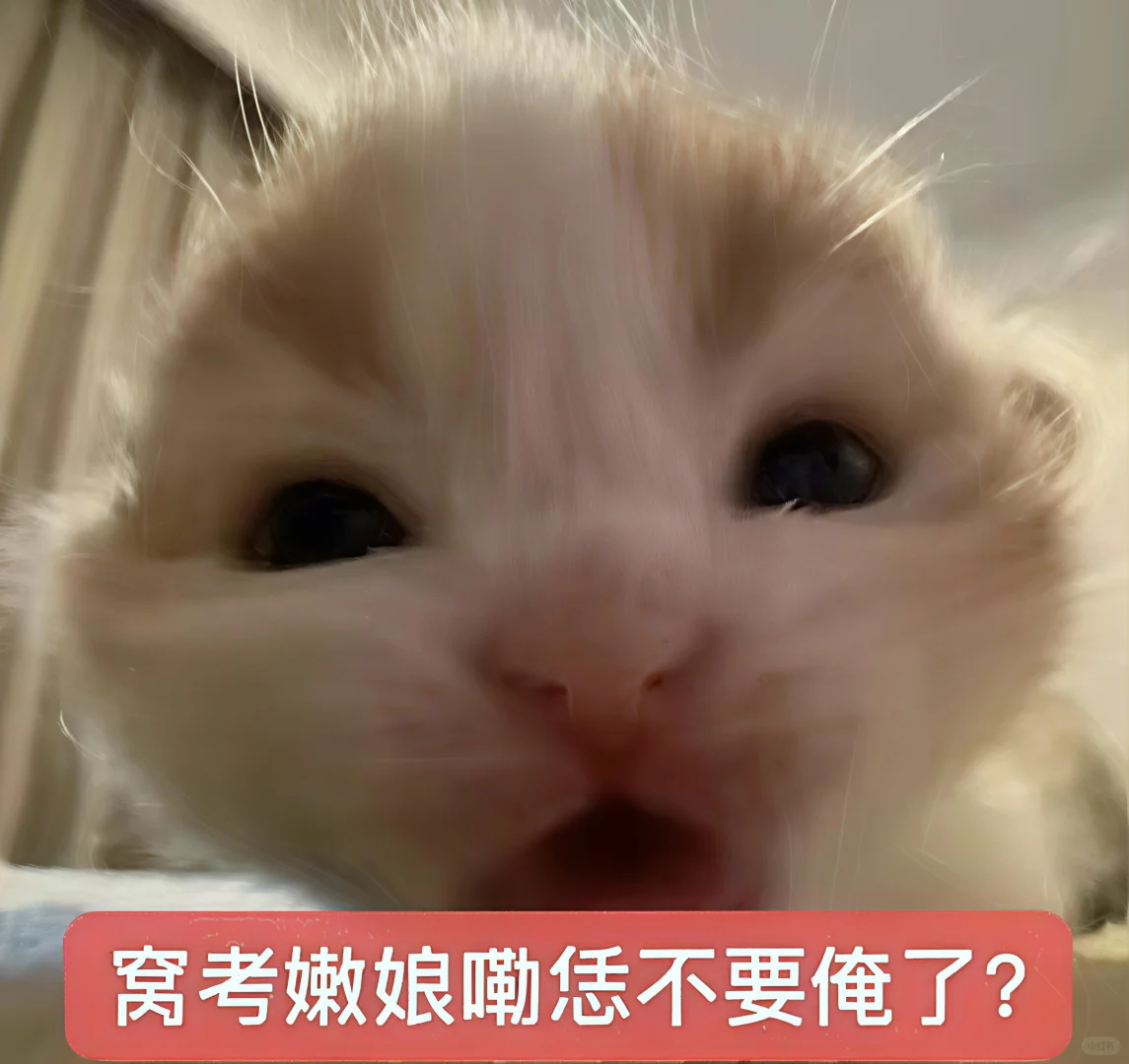 哈喽 有什么烦心事咪 ᳐ ᳐੭ﾞ