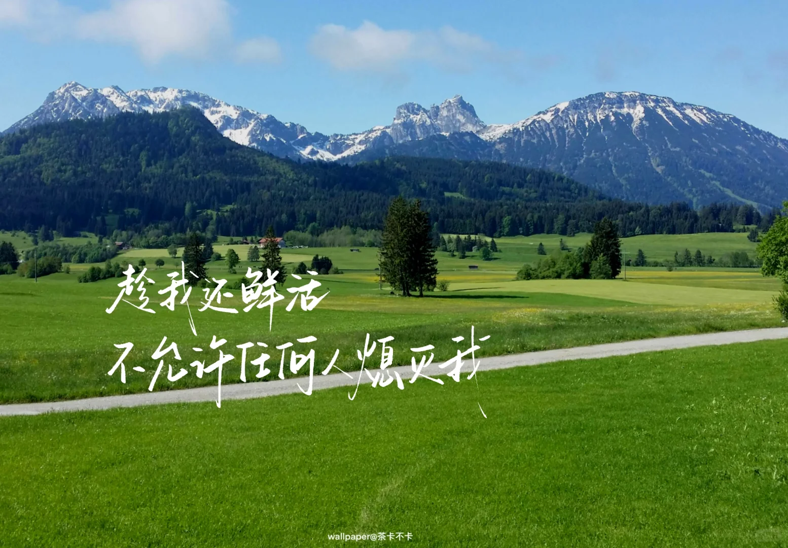 手写✍️10.01｜iPad文字壁纸/背景图