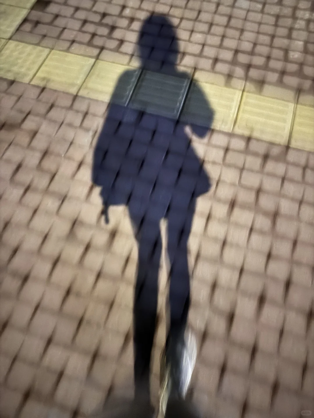 秋天的第一场夜跑