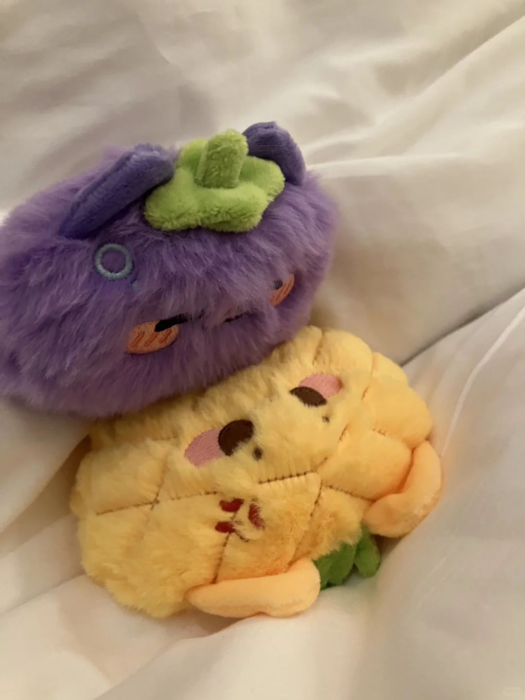菠萝山竹酒店🛏️照曝光！