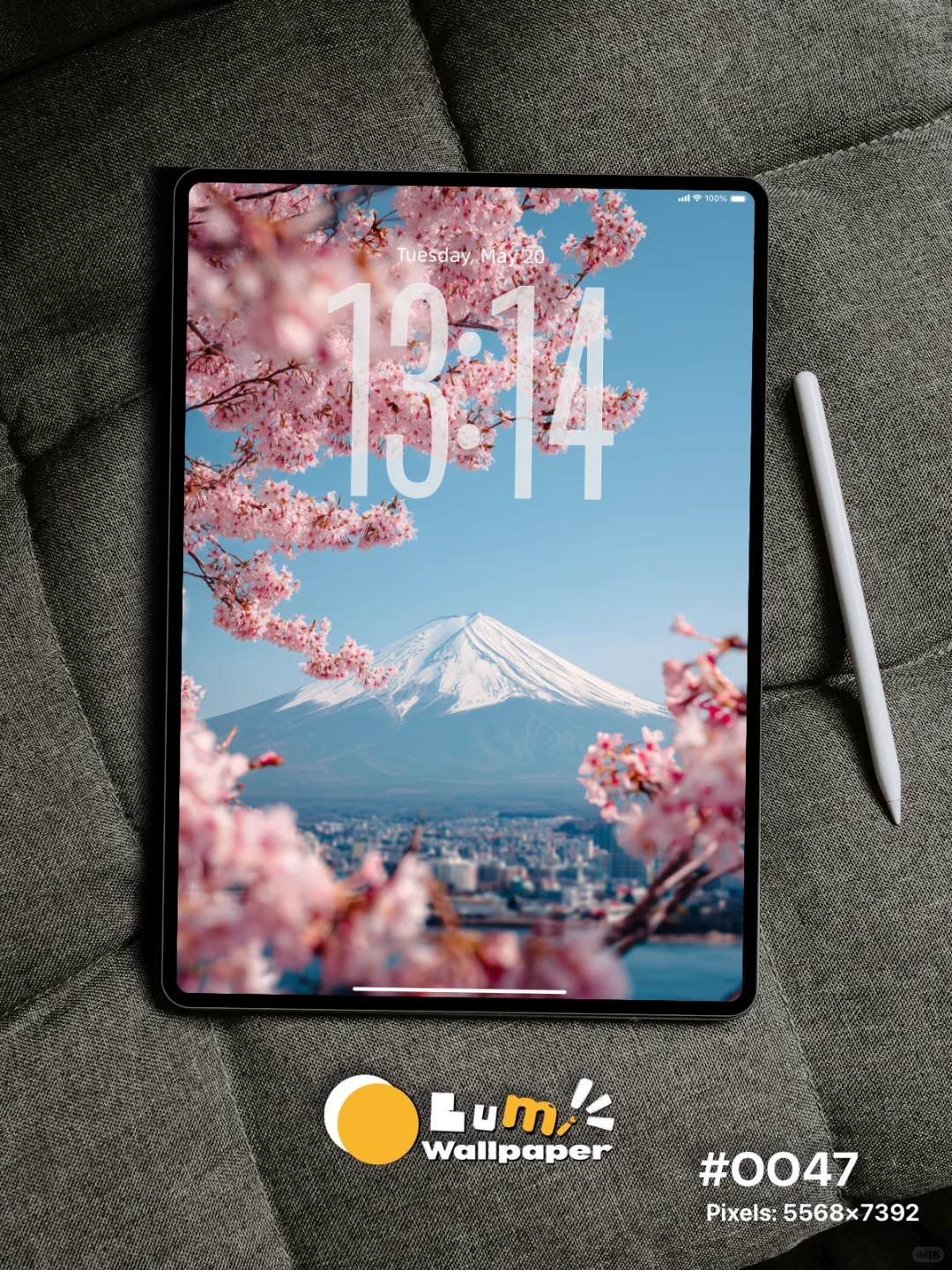 Lumi壁纸 | IOS26樱花富士山壁纸 | 0047