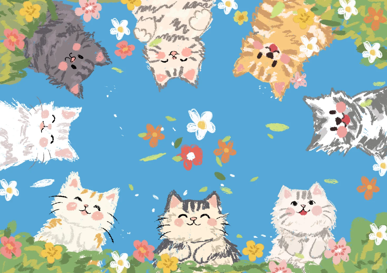 壁纸分享 可爱小狗 晴天小狗小猫来了！