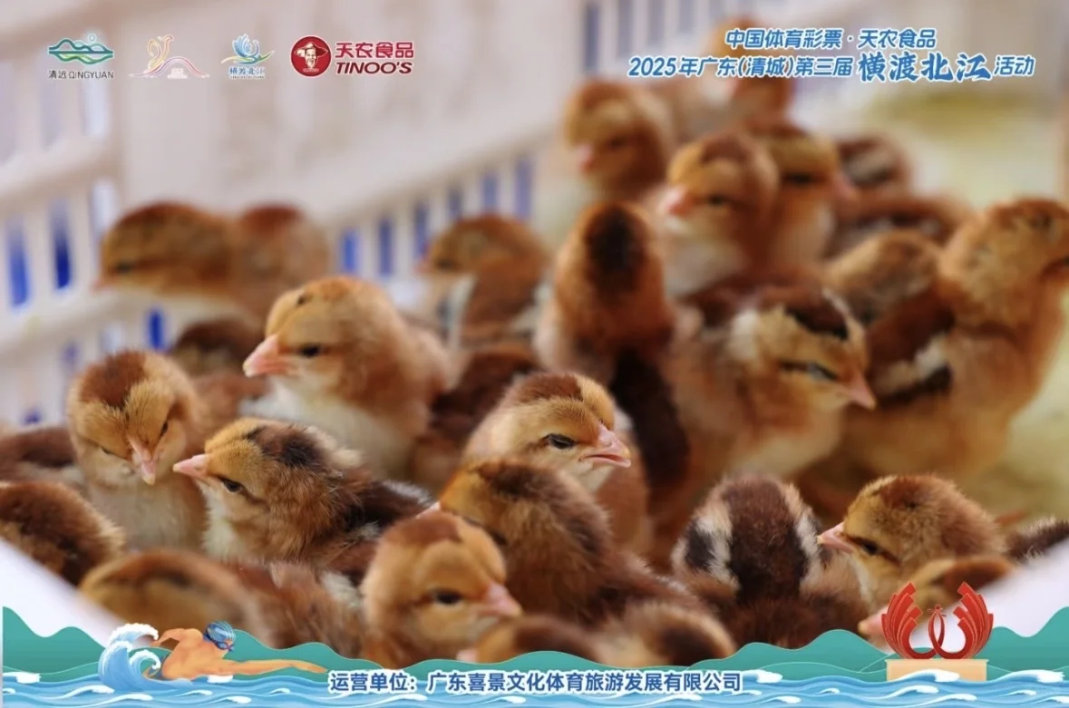 横渡北江|公开水域代办清单减一!!