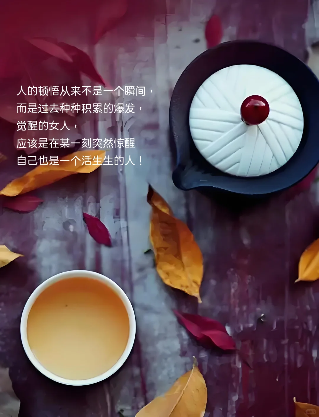 中年女人有了风骨,便是人间尤物