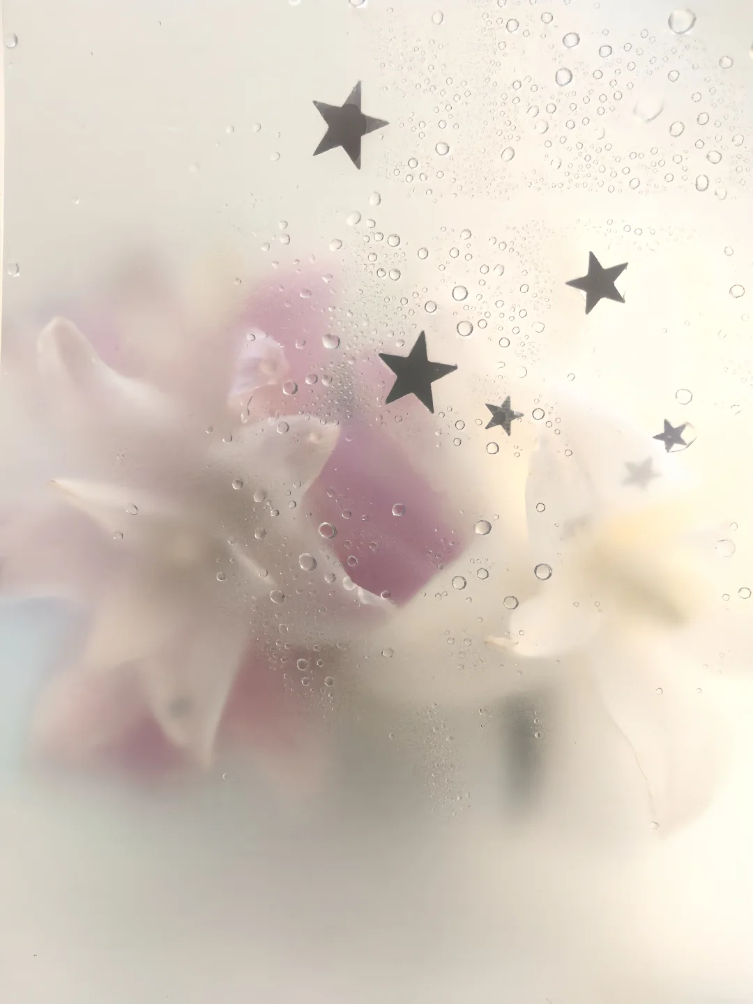 Lily