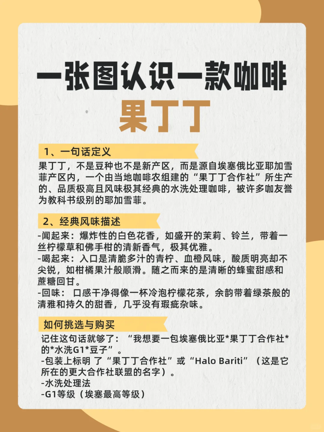 一张图认识一款咖啡，今天是“果丁丁”