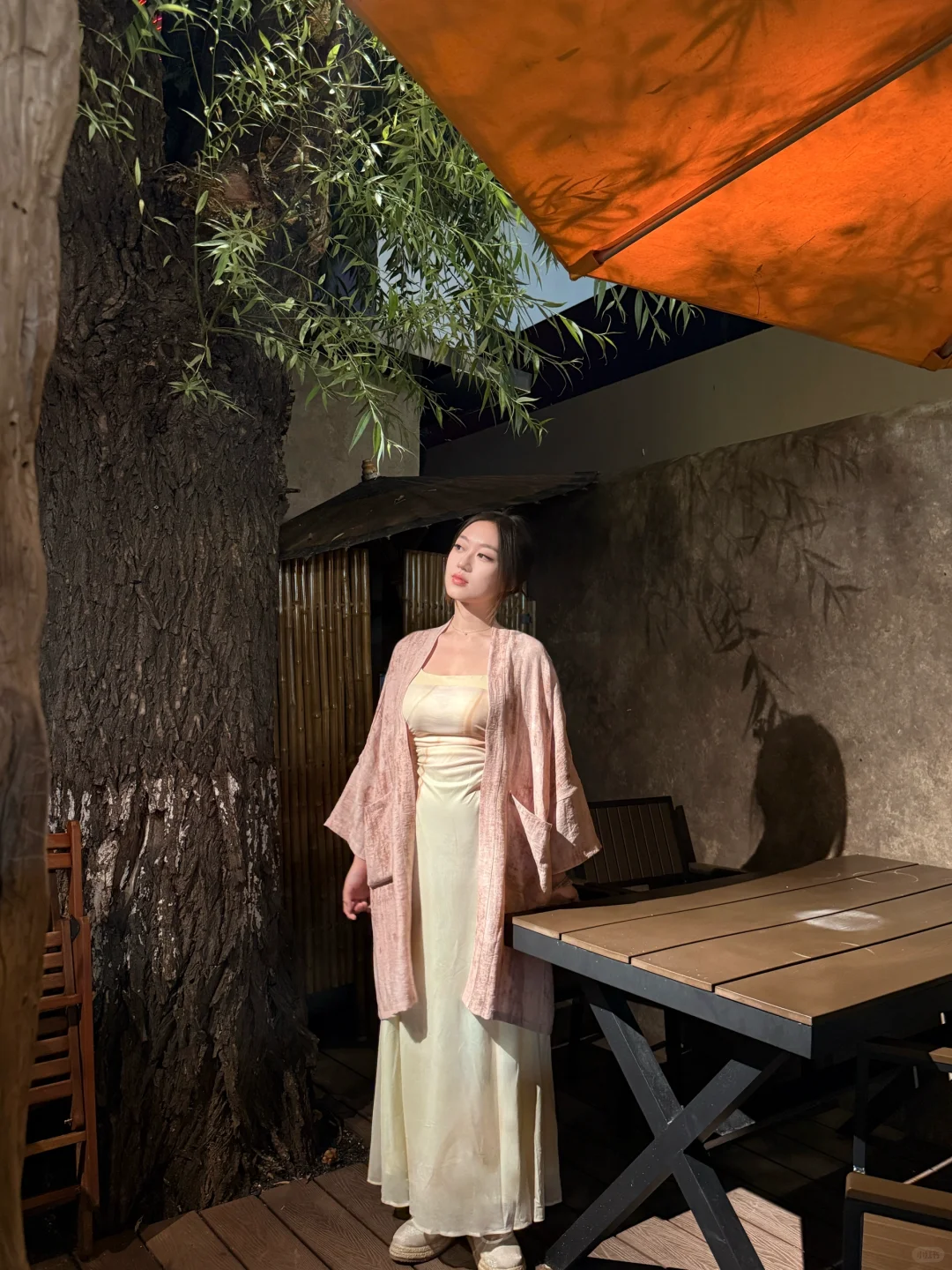 与谁同坐，明月清风我