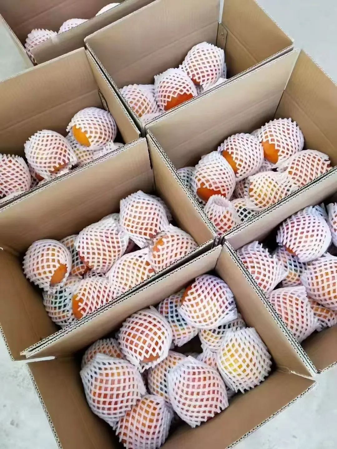 可带皮吃!纯甜不涩!陕西脆柿❤️