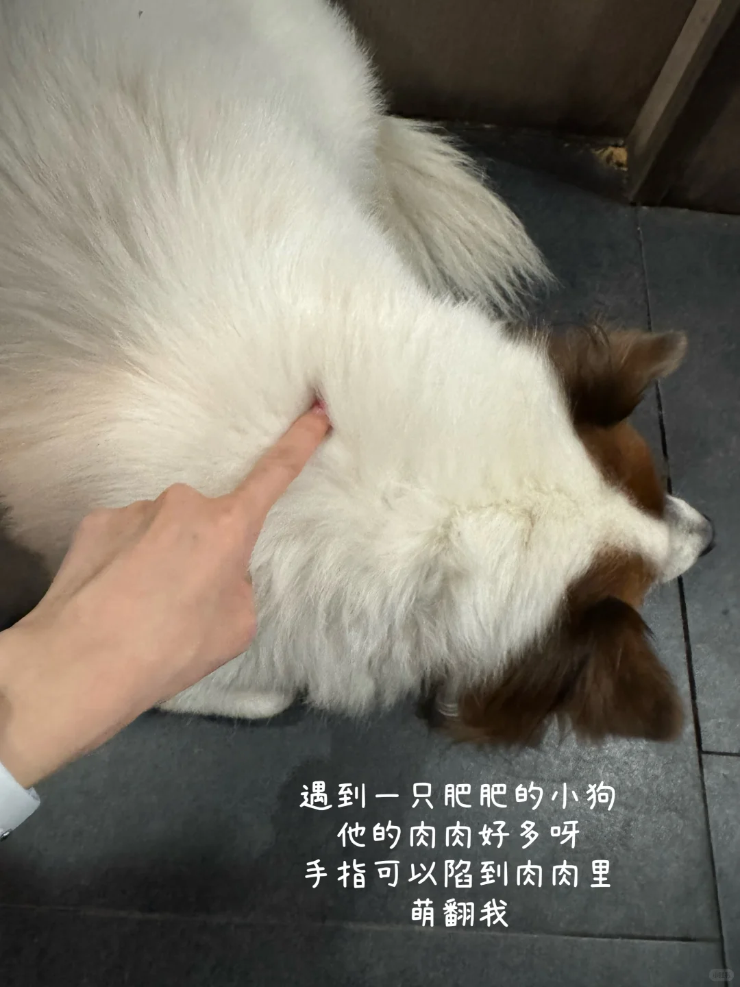 中科大女研｜日入1w时在想什么