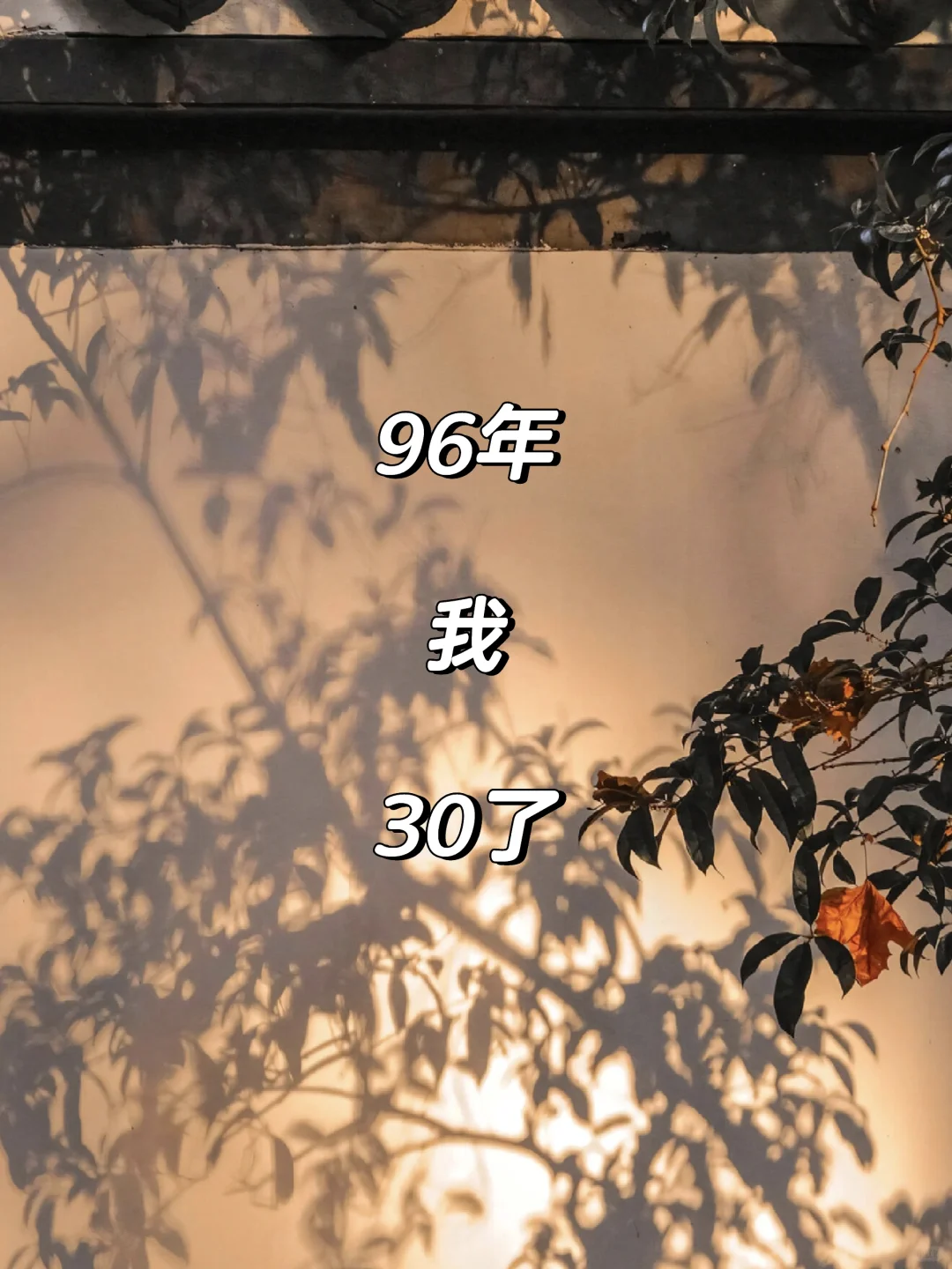 96年，我，30了