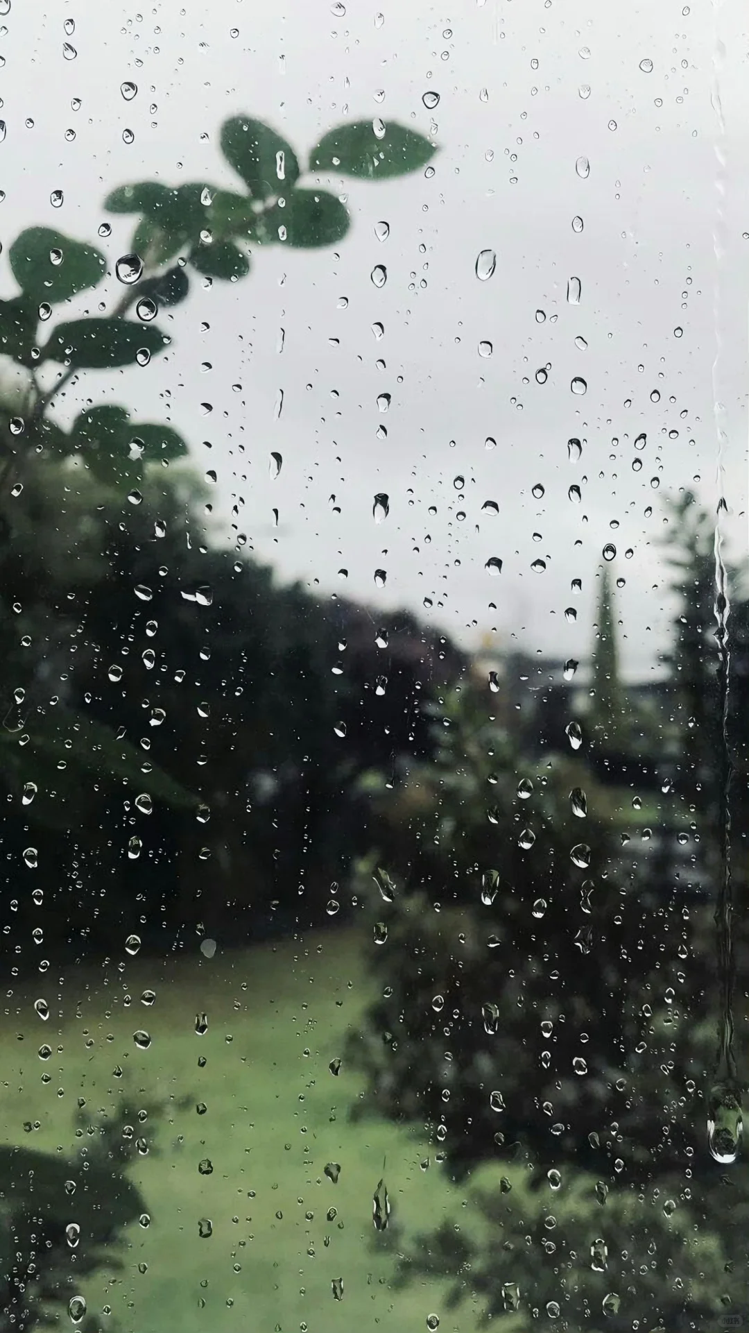 喜欢下雨天 又不是那么喜欢ˁ῁̩ˀ