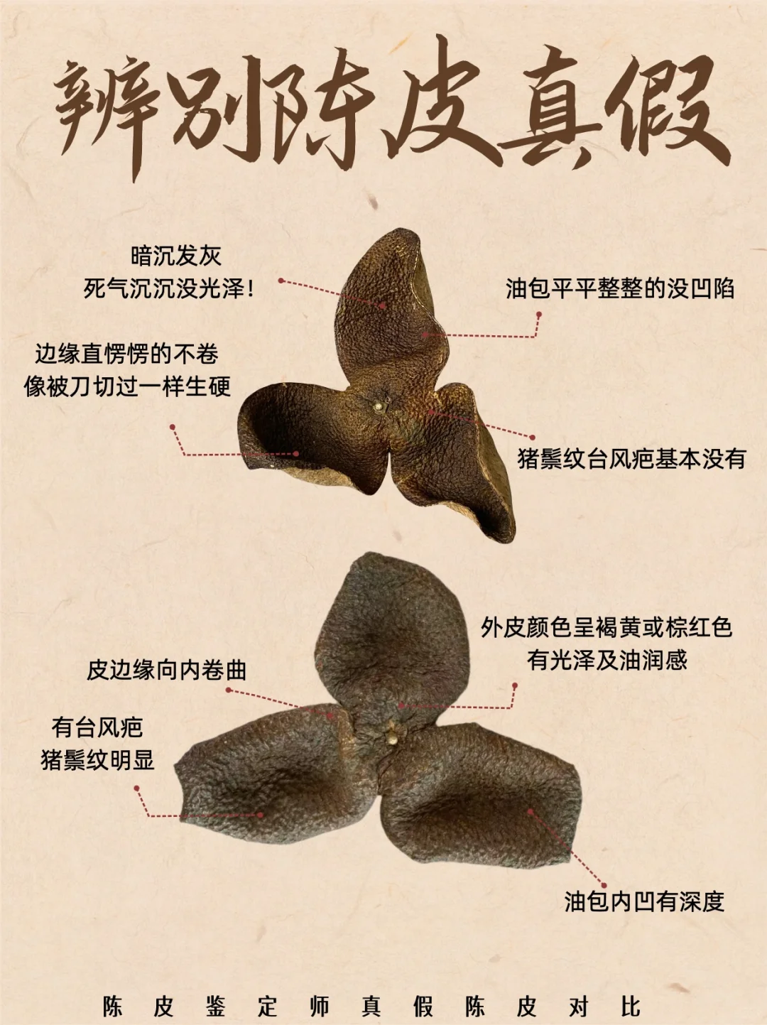 真陈皮？假陈皮？