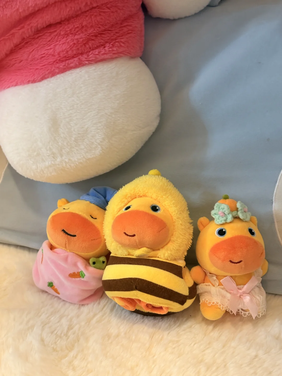 想要一个实体的比基尼小噜噜