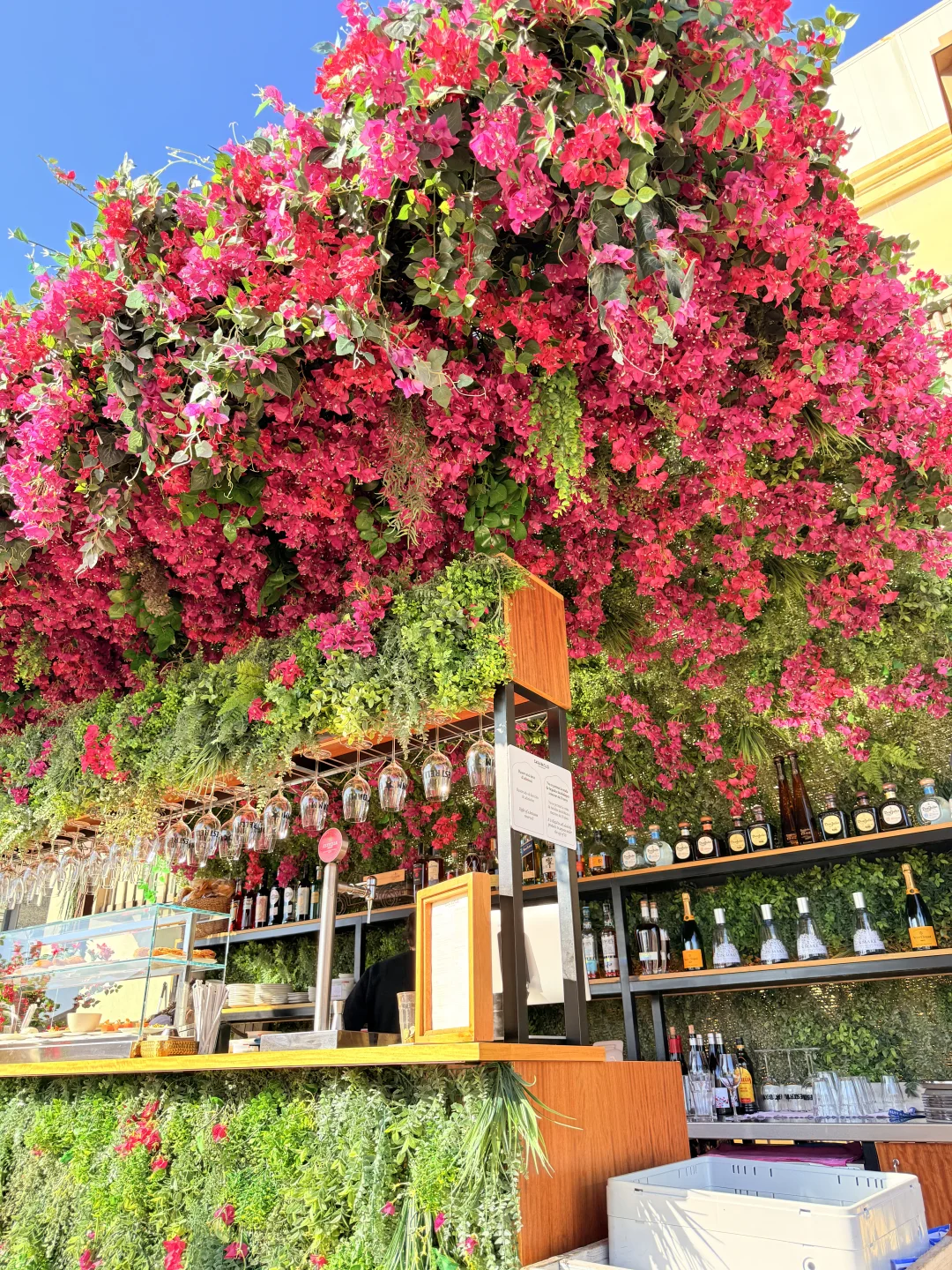 180cm初冬的银杏格外迷人