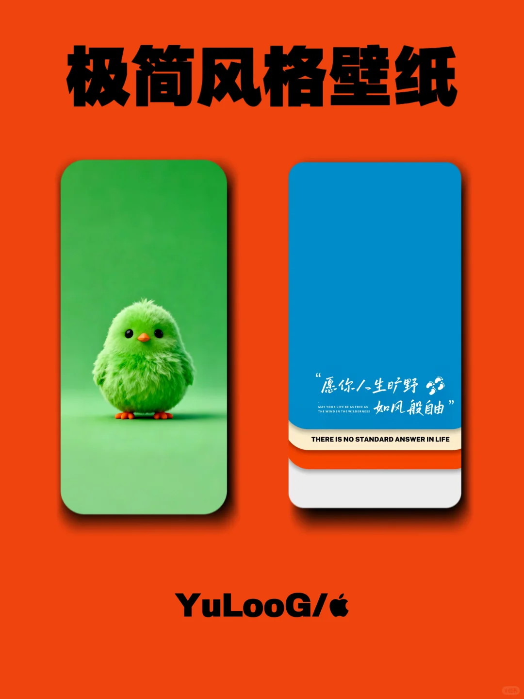 简约 iPhone 高级感壁纸