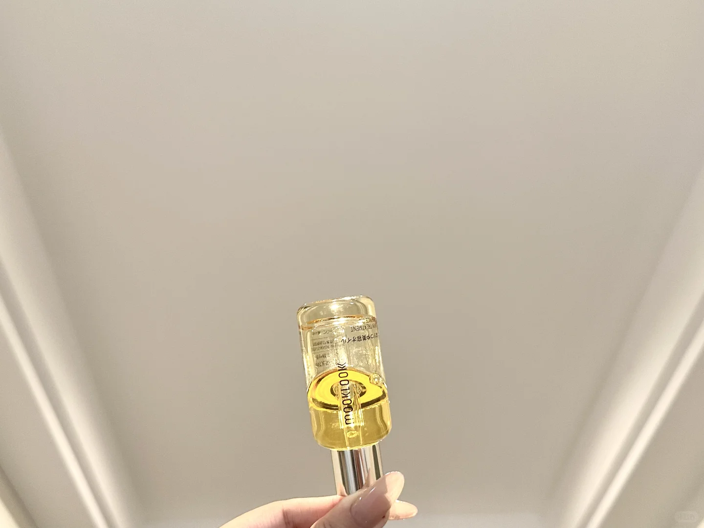 发现了新大陆！