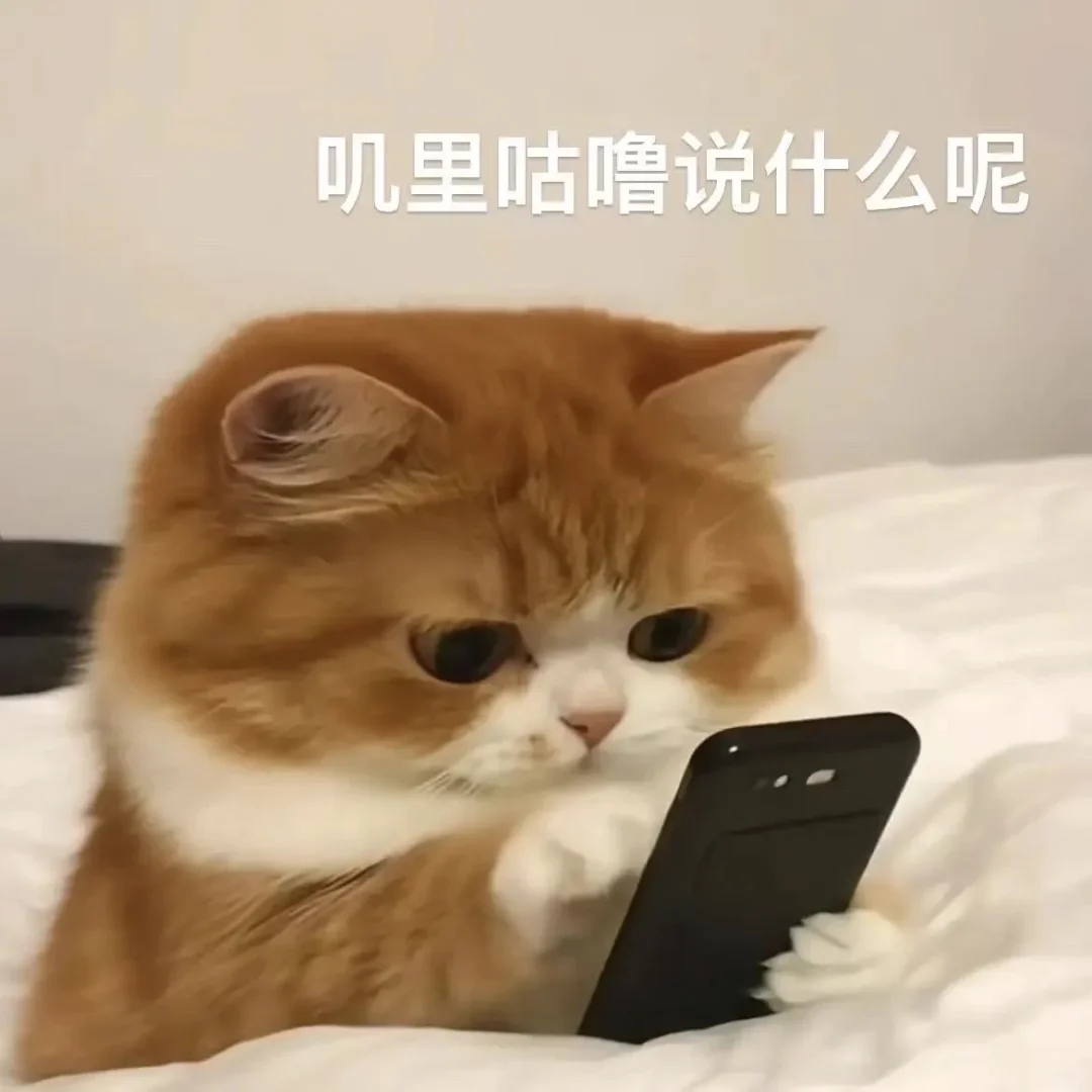 求同类型的小🐱表情包！！