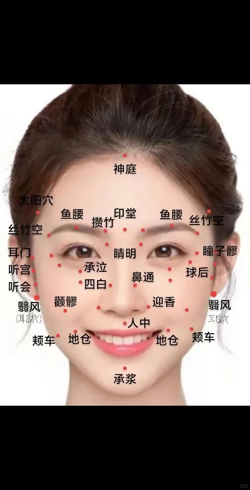 面部美容穴位图
