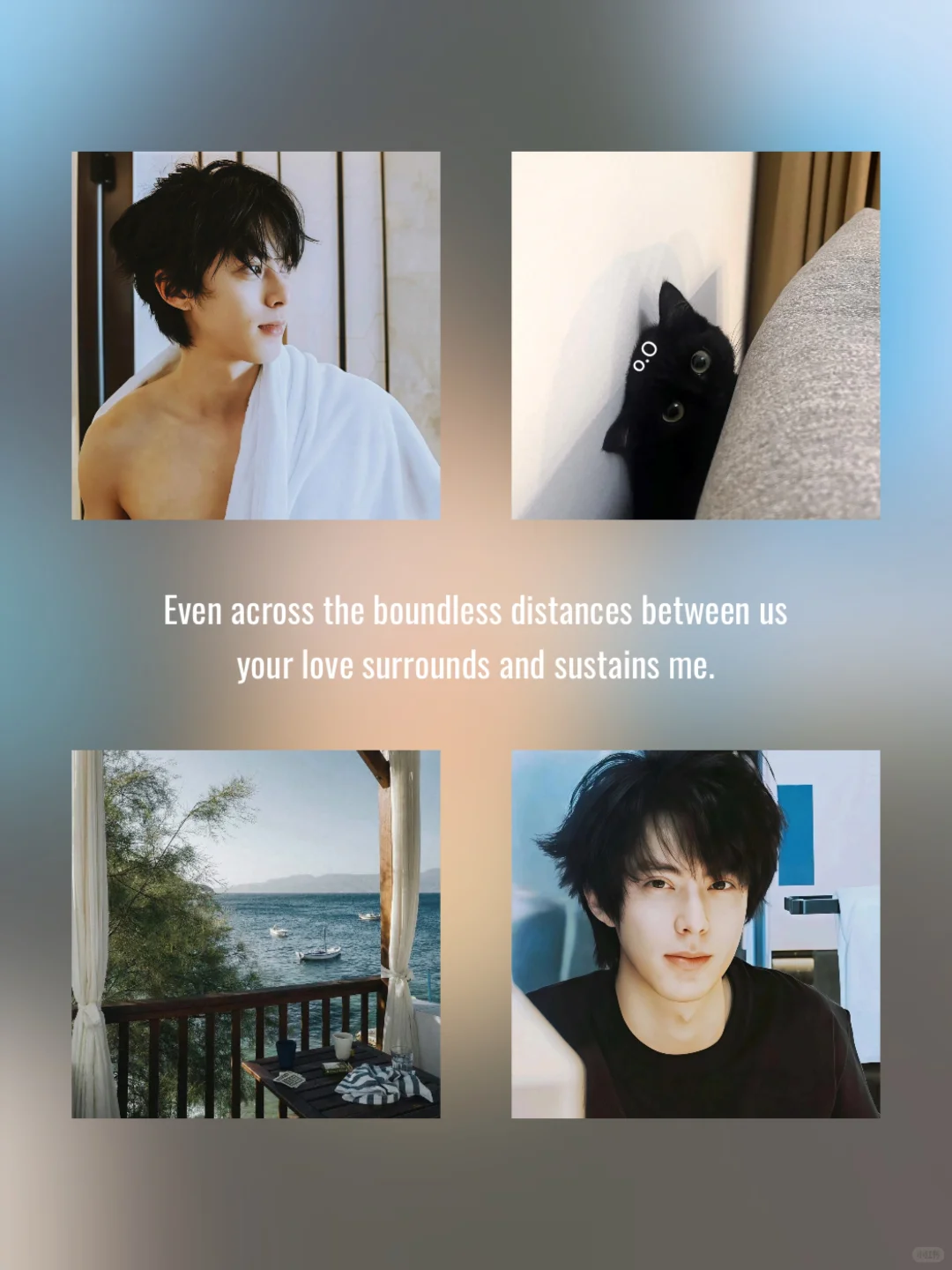 王鹤棣|头像背景图搭配