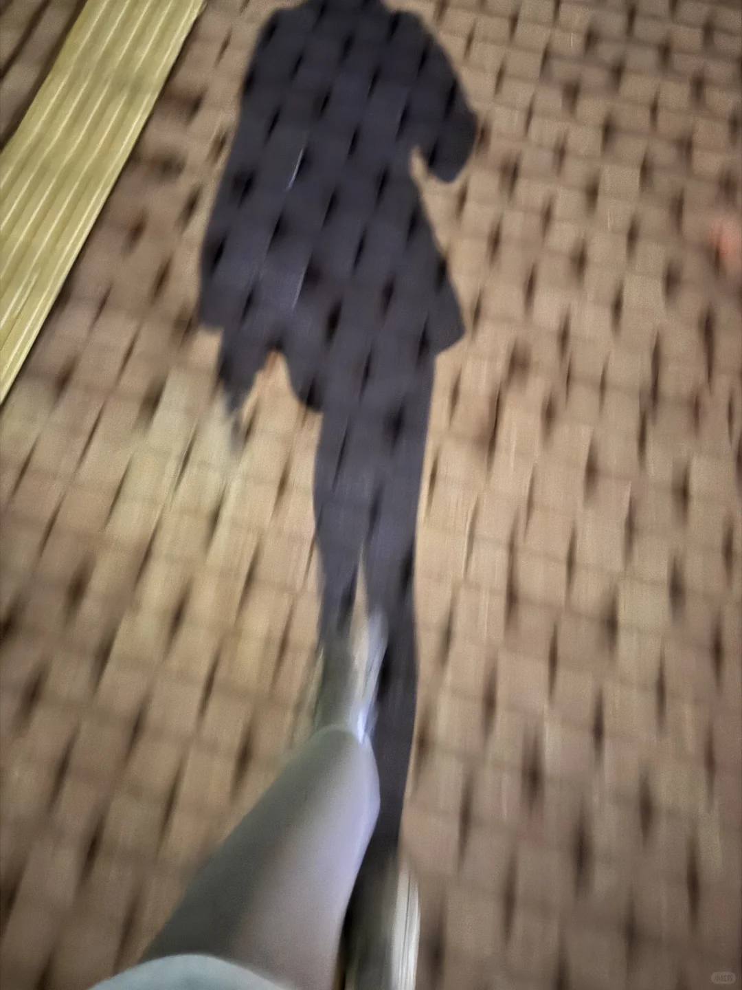 秋天的第一场夜跑
