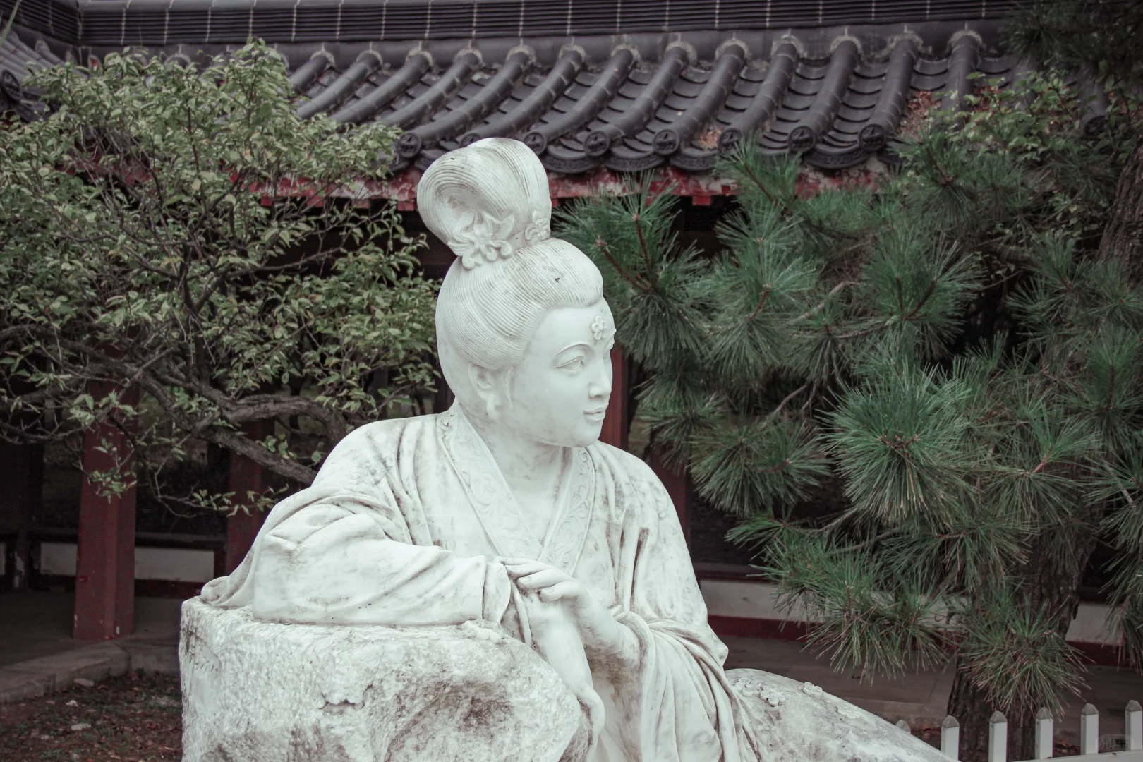 南京|明孝陵|梅花妆韵 这抹绿色很治愈