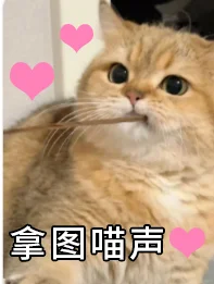 情侣表情包|可以给“我”摸摸嘛