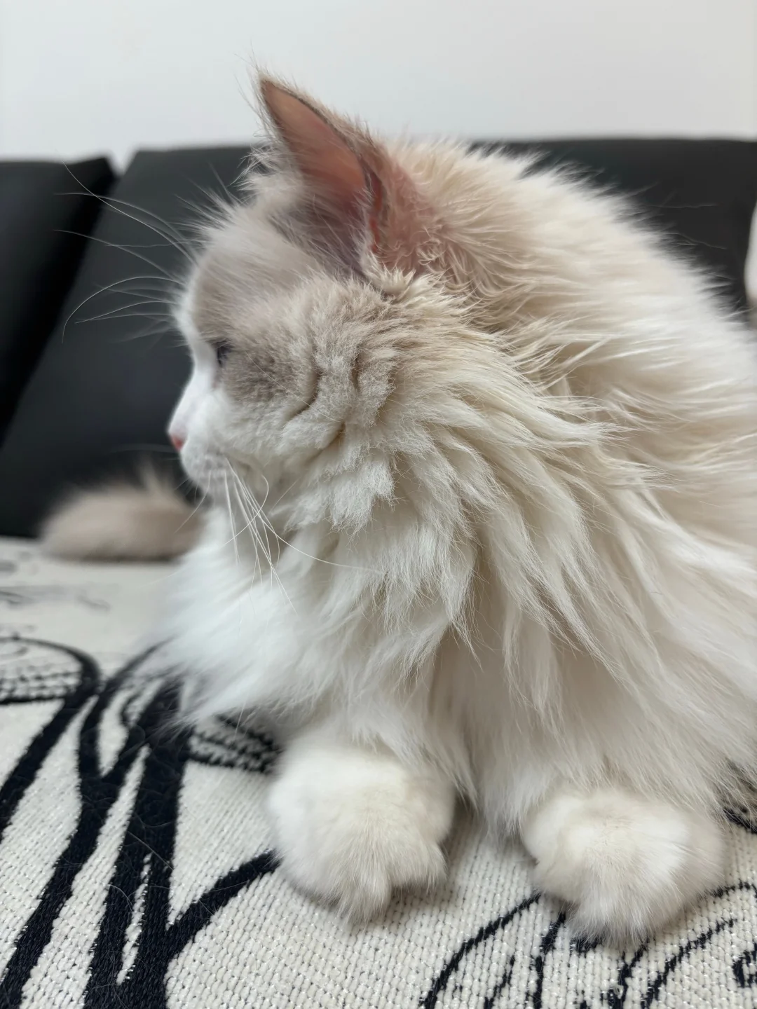 我的朋友圈日常生活包装打造每日更新素材