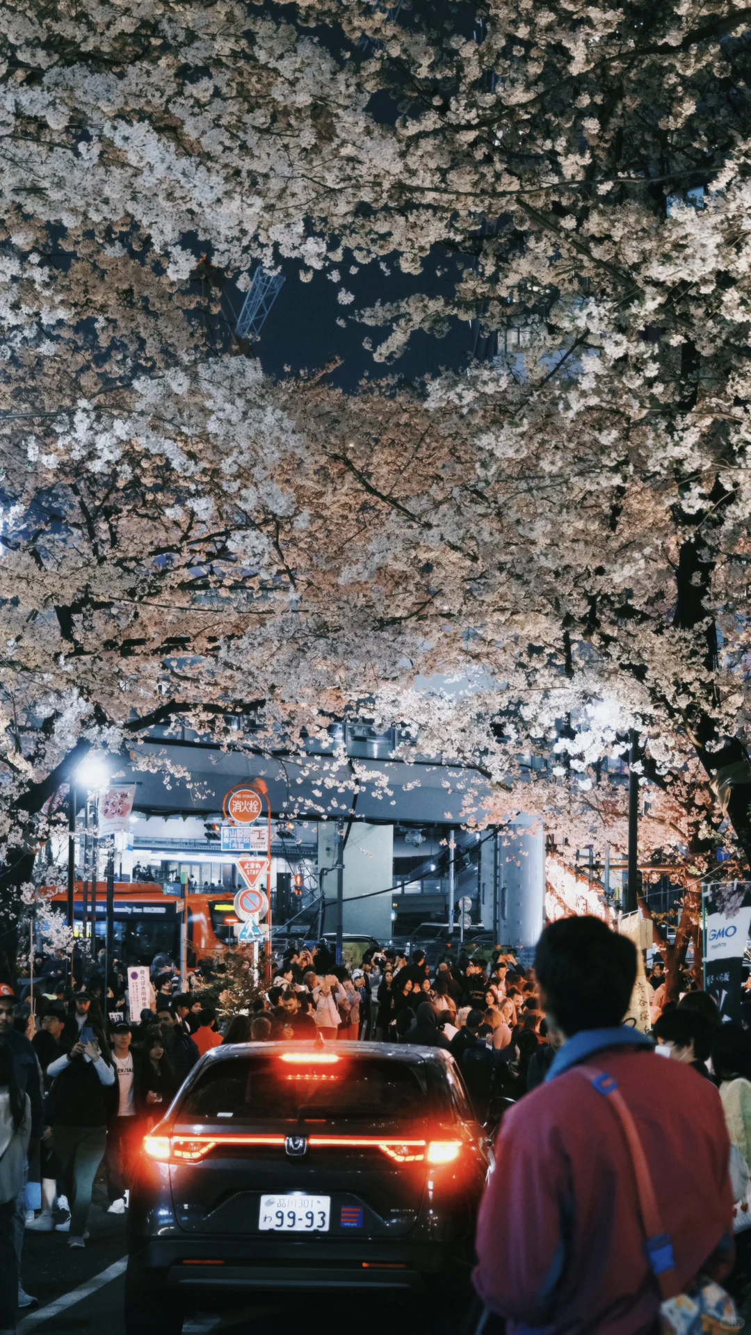 全屏图｜东京的春天溢出画面。