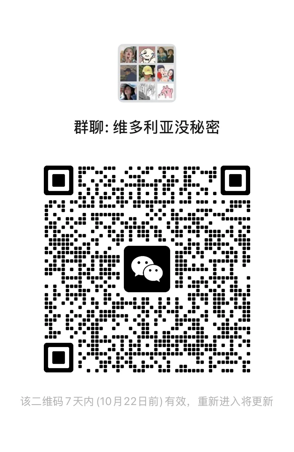 救命，什么宝藏群聊！