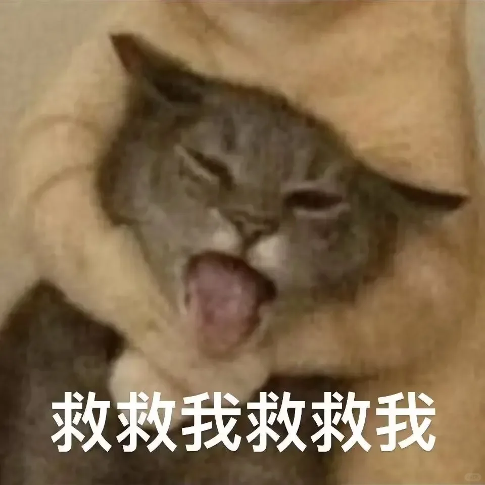 表情包分享（90）