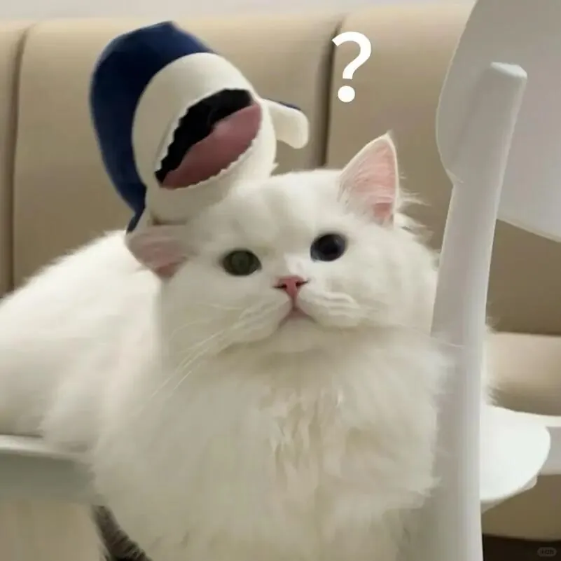 抽象表情包｜超实用 可爱猫猫