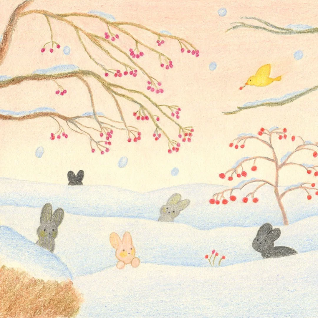 宝藏插画师分享系列01｜Kim Myung🌳