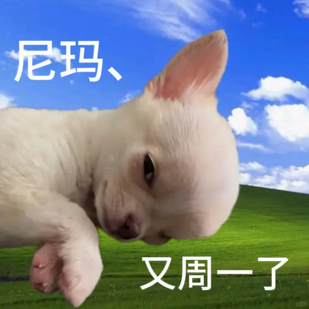表情包分享|好姐妹、好姐妹