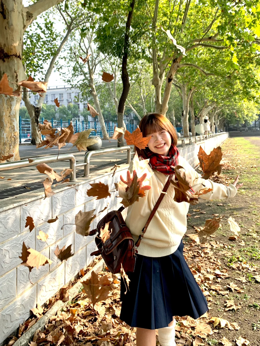 ٩(ˊᗜˋ*)و好喜欢iphonexr拍出来的生命力!!🍁