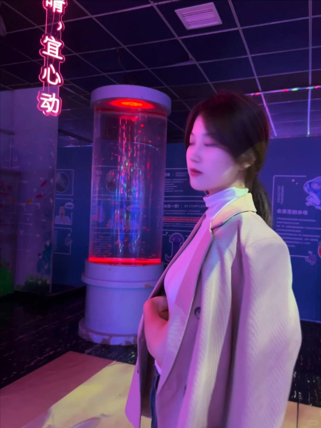 大家问的链接来咯~🔗
