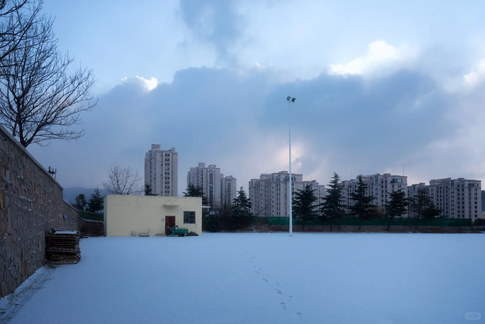 青岛|海大雪之横屏版