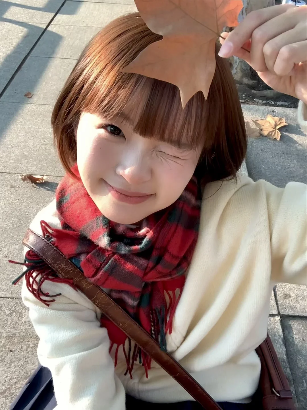 ٩(ˊᗜˋ*)و好喜欢iphonexr拍出来的生命力!!🍁