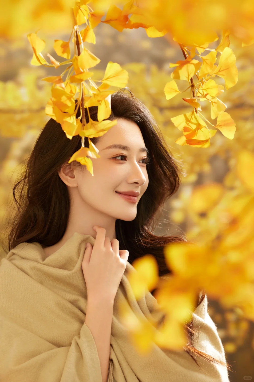 银杏黄了