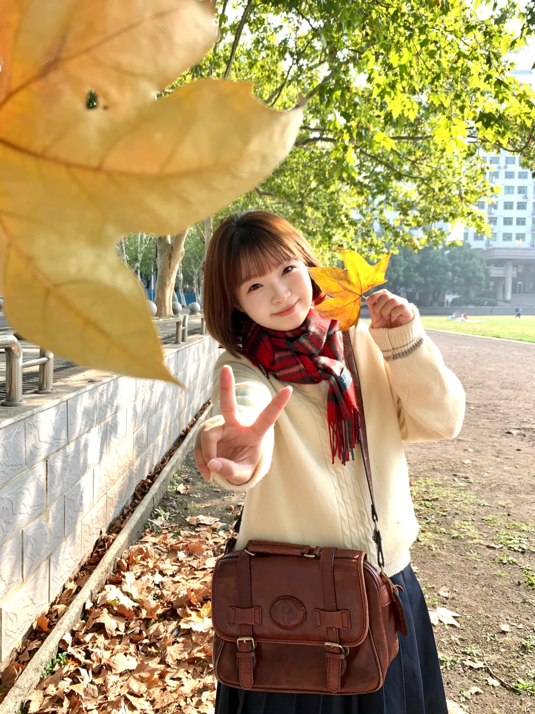 ٩(ˊᗜˋ*)و好喜欢iphonexr拍出来的生命力!!🍁