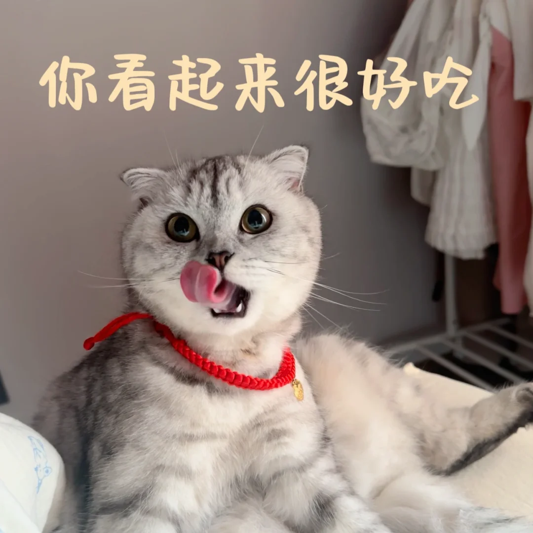 不希望喝酒是见你的唯一门票