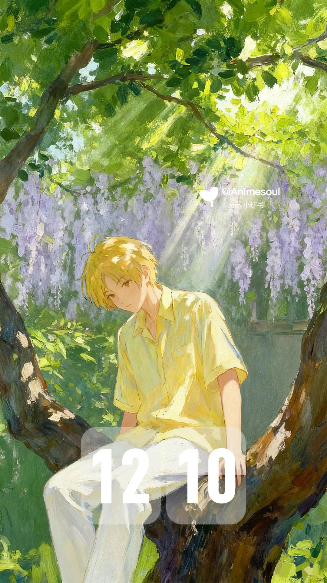 夏目｜听风