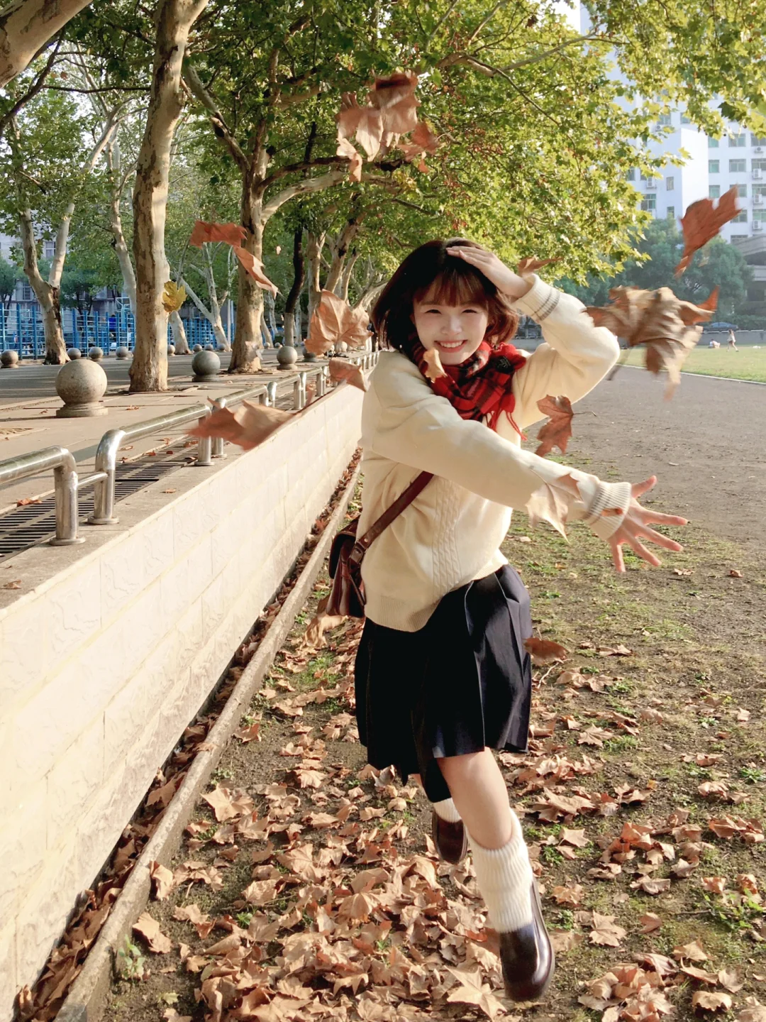 ٩(ˊᗜˋ*)و好喜欢iphonexr拍出来的生命力!!🍁