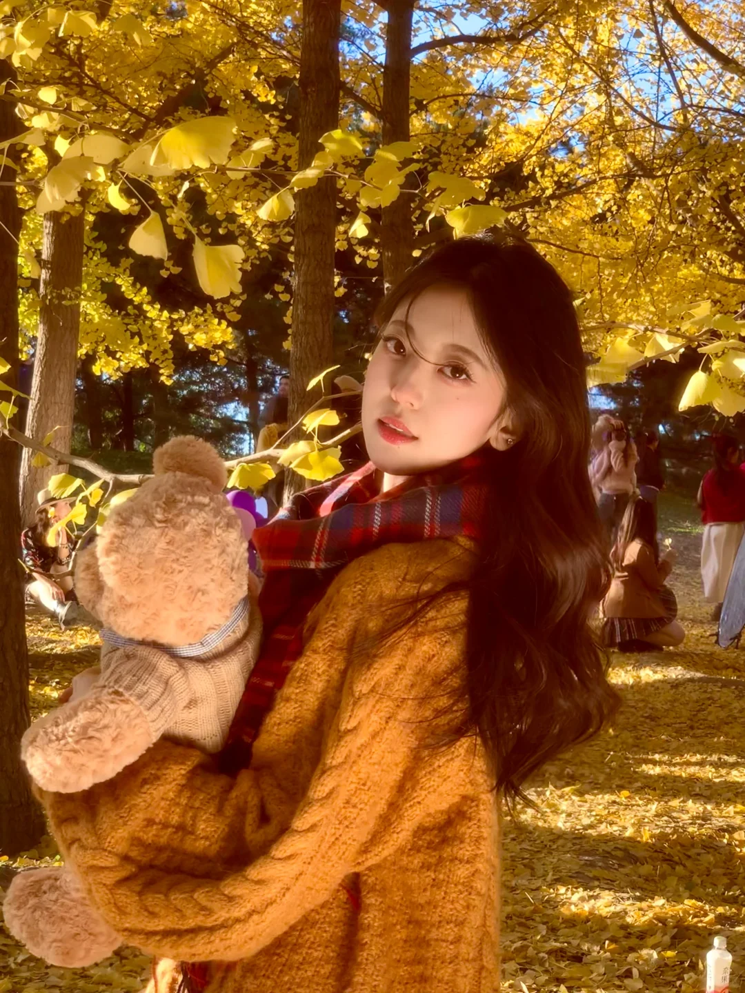 预习秋天🍂